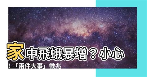 一隻飛蛾徵兆|家中飛蛾暗示什麼？專家解析